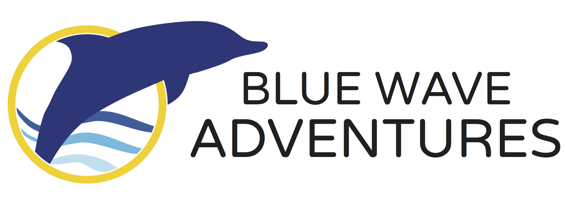 Blue Wave Adventures Dolphin Watch Tour